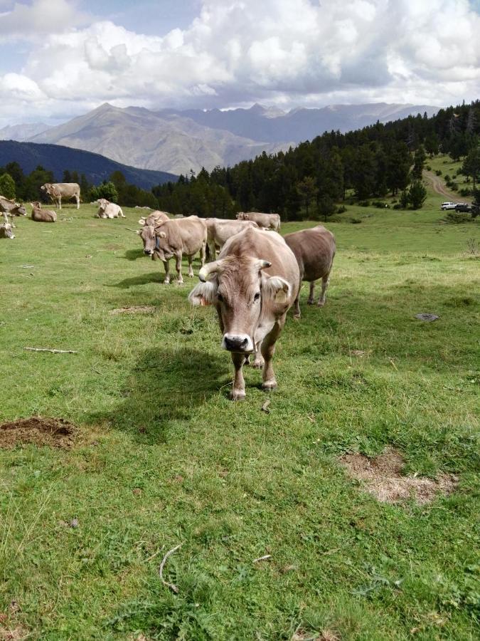 Appartamento Casa Tonya Unarre Esterno foto